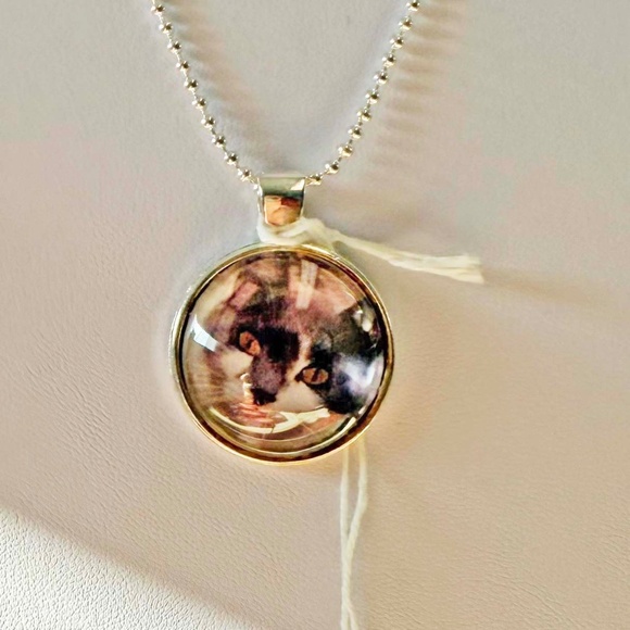 TABBY CAT PENDANT NECKLACE, GLASS DOME ON METAL, 23 INCH SILVER-TONE BALL CHAIN, - Picture 3 of 3